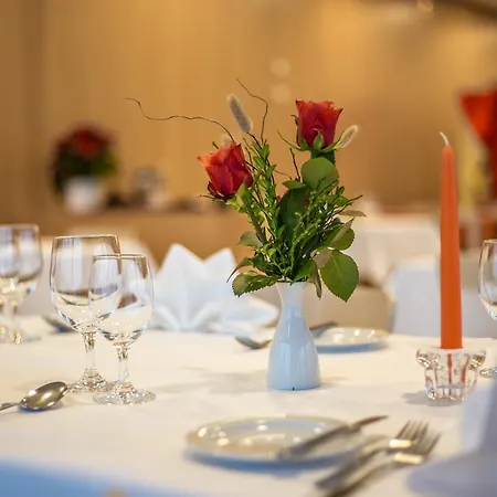 Ξενοδοχείο Hotel Neu-Schoenstatt